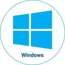 icon Windows
